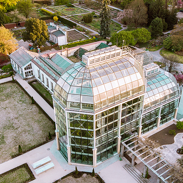 Ogrod Botaniczny Uniwersytetu Jagiellonskiego